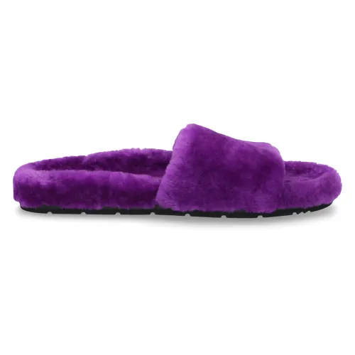 305 Sobe , Slippers ,Purple female, Sizes: