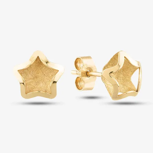 9ct Yellow Gold Satin Brushed Star Stud Earrings SE870
