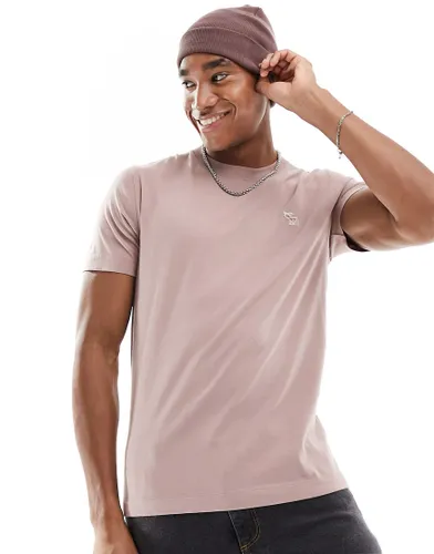 Abercrombie & Fitch elevated icon logo t-shirt in taupe-Neutral