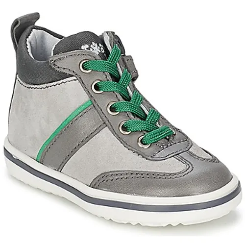Acebo's  ABARNE  boys's Children's Shoes (High-top Trainers) in Grey