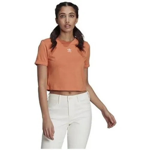 adidas  Adicolor Classics  women's T shirt in Orange