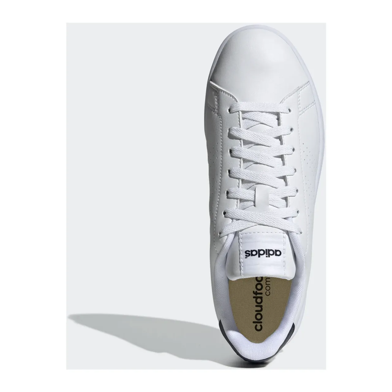 Adidas , Advantage Leather Sneakers ,White male, Sizes: