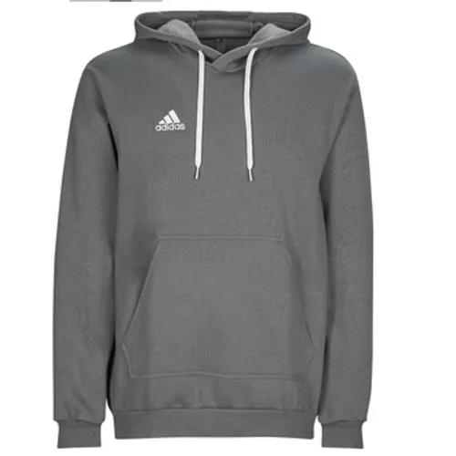 adidas  ENT22 HOODY  men's Sweatshirt in Grey