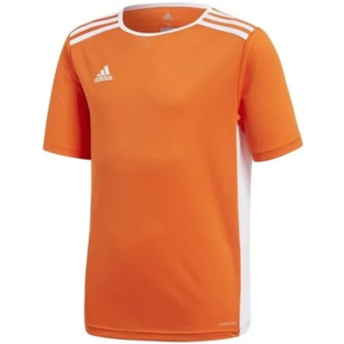 adidas  Entrada 18  boys's Children's T shirt in Orange