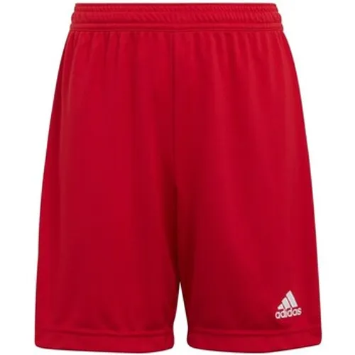 adidas  Entrada 22  boys's Children's Cropped trousers in Red