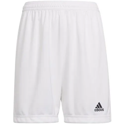 adidas  Entrada 22  boys's Children's Cropped trousers in White