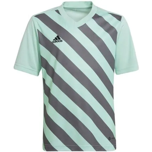adidas  Entrada 22 Graphic Jersey  boys's Children's T shirt in multicolour