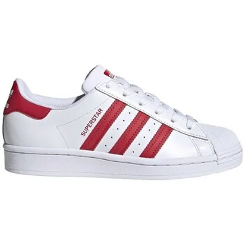 adidas  Superstar J  boys's Children's Shoes (Trainers) in multicolour