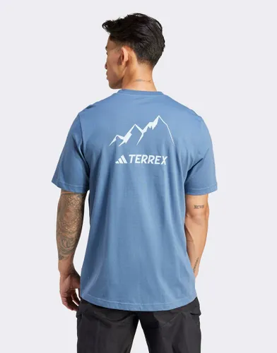 adidas Terrex graphic MTN 2.0 t-shirt in blue