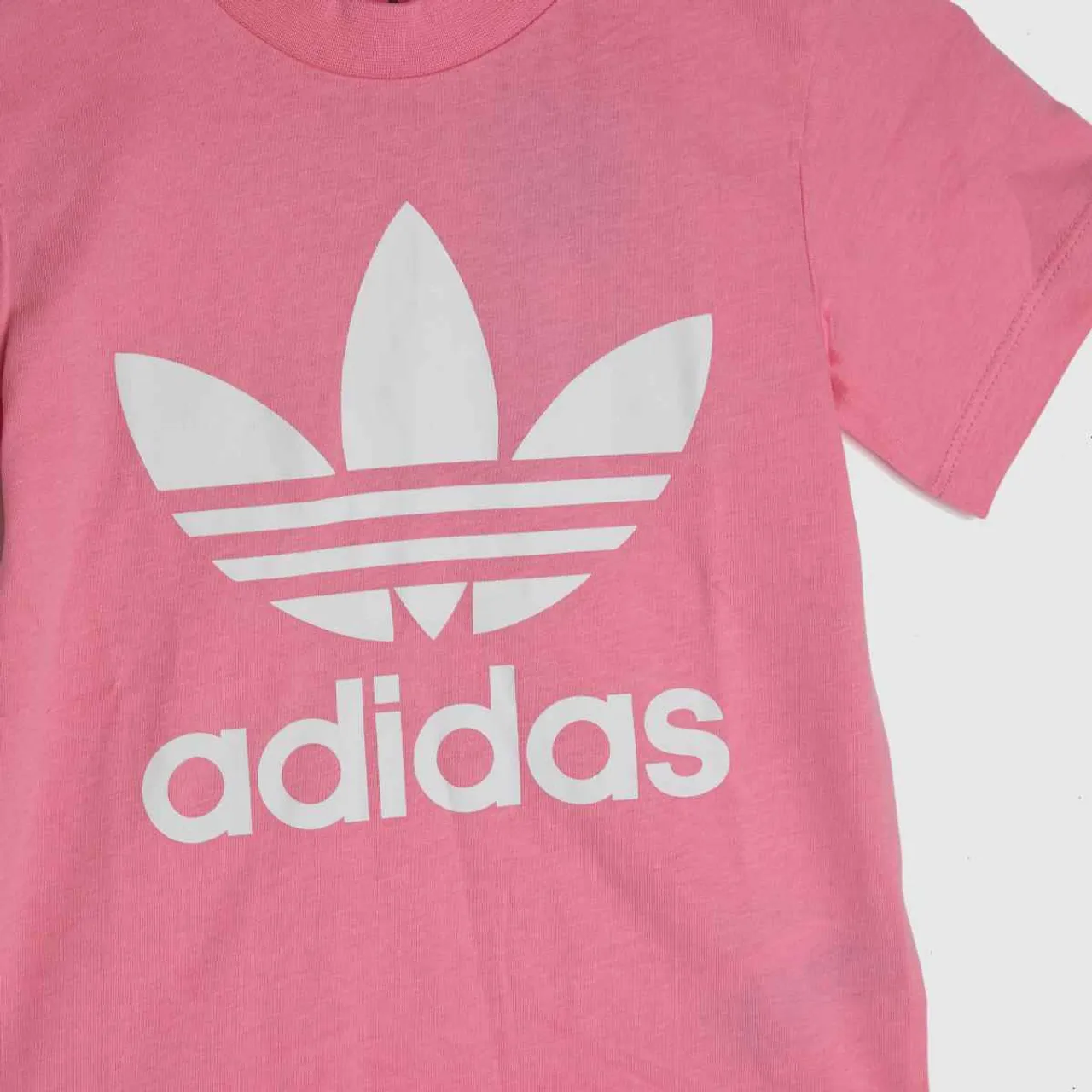 Adidas Trefoil T-shirt In Pink