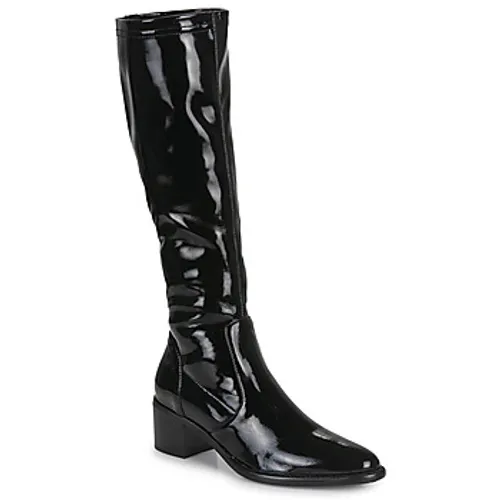 Adige  DIANA  women's High Boots in Black