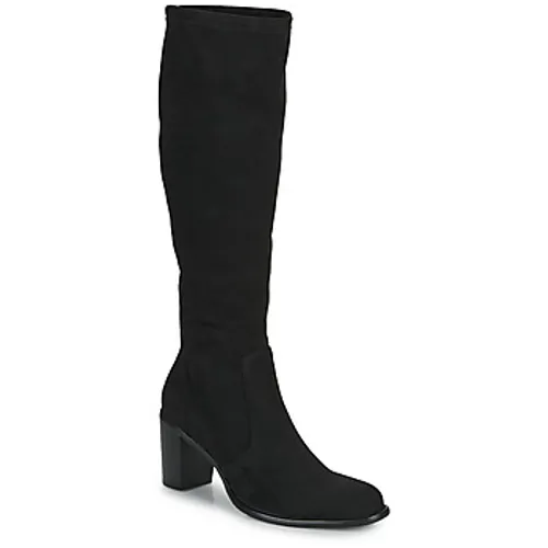 Adige  FILOU  women's High Boots in Black
