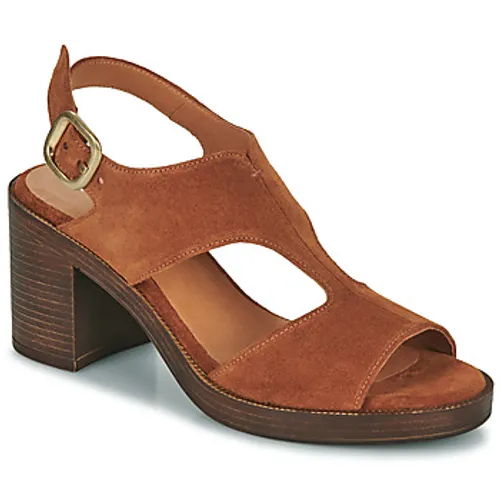 Adige  REGINE  women's Sandals in Brown