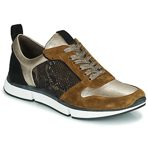 Adige  VANILLE2 V3 GALAXY ONYX  women's Shoes (Trainers) in Brown