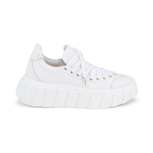 AGL , White Casual Closed Wedges Sneakers ,White female, Sizes: