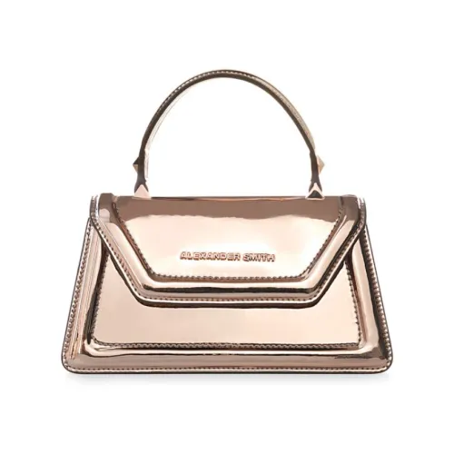 Alexander Smith , Elizabeth Mini Copper Mirror Handbag ,Orange female, Sizes: ONE SIZE