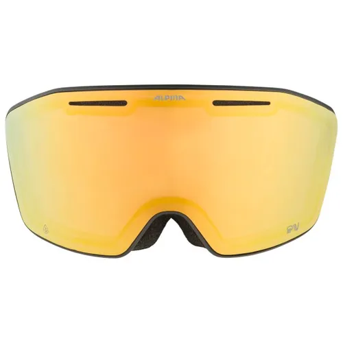 Alpina - Nendaz QV S2 - Ski goggles sand
