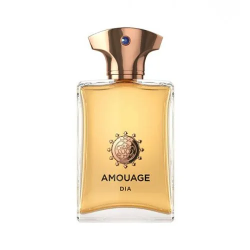 Amouage Dia pour homme perfume atomizer for men EDP 20ml