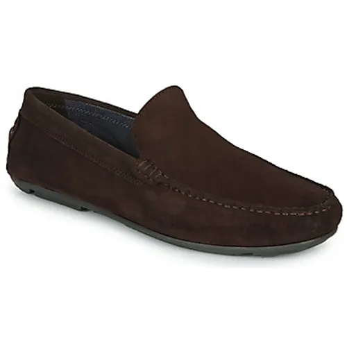 André  BIOUTY  men's Loafers / Casual Shoes in Brown