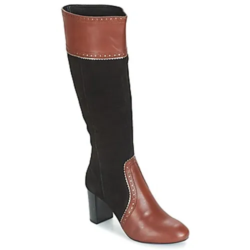 André  DOLORES  women's High Boots in Brown