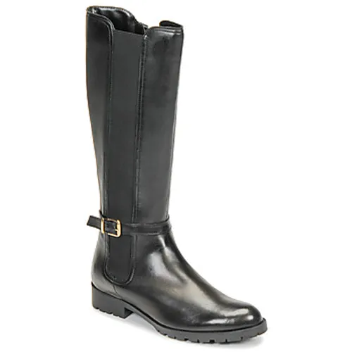 André  ELODIE  women's High Boots in Black