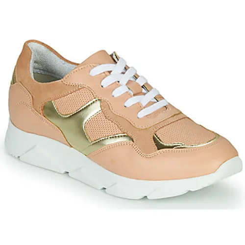 André  HAVILAH  women's Shoes (Trainers) in Pink
