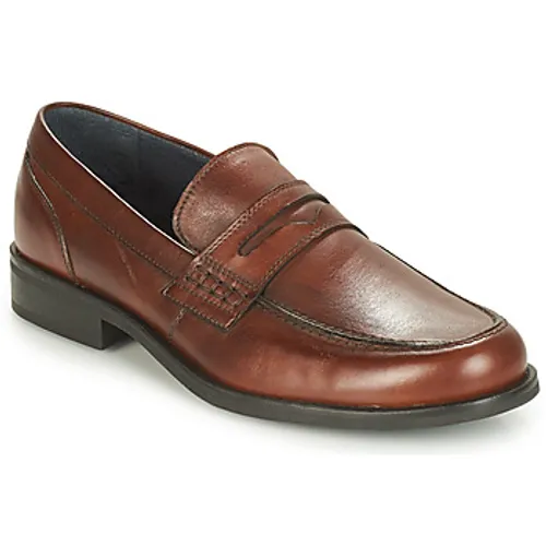 André  KOLL  men's Loafers / Casual Shoes in Brown