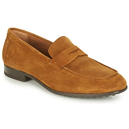 André  PLATEAU  men's Loafers / Casual Shoes in Brown