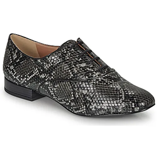 André  VIOLETTE  women's Casual Shoes in Grey