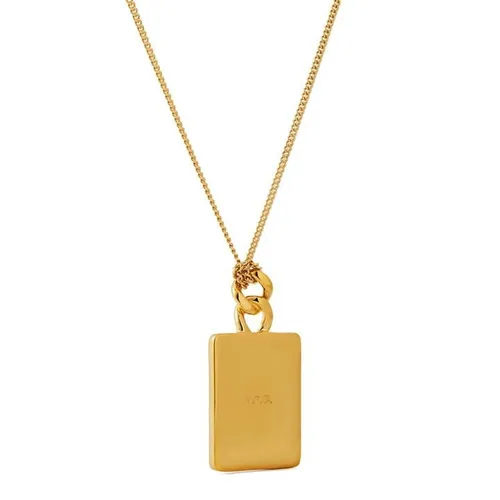 APC Darwin Necklace - Gold