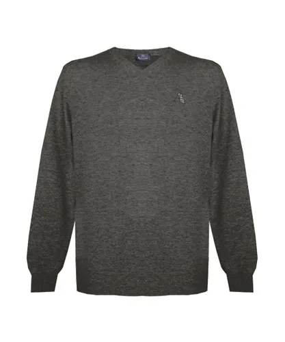 Aquascutum Mens Long Sleeved/V-Neck Knitwear Jumper with Logo in Dark Grey