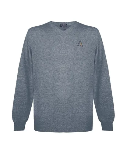 Aquascutum Mens Long Sleeved/V-Neck Knitwear Jumper with Logo in Grey Cotton