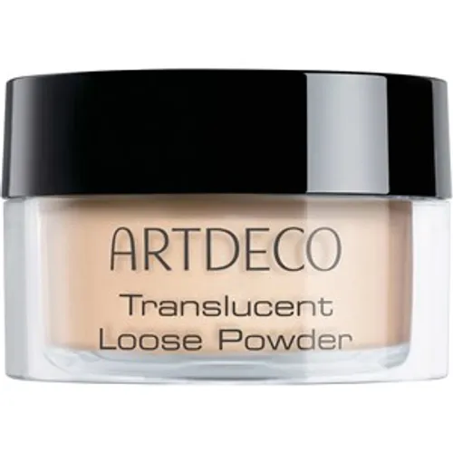 ARTDECO Translucent Loose Powder Female 8 g