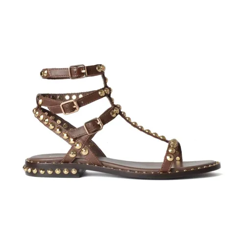 ASH , Brown Leather Stud Sandals ,Brown female, Sizes: