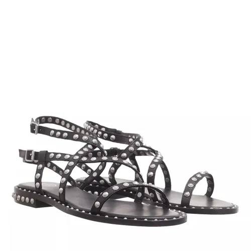 Ash Sandals - Petra - black - Sandals for ladies