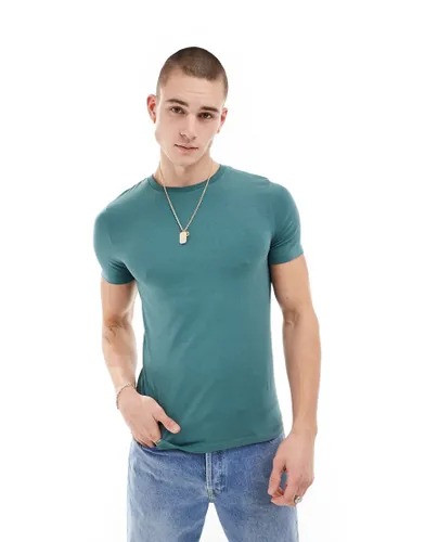 ASOS DESIGN muscle fit t-shirt in blue-Green