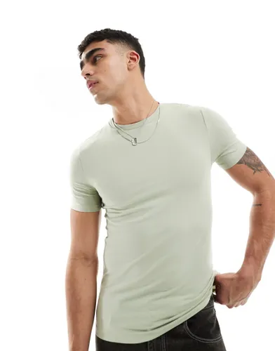 ASOS DESIGN muscle fit t-shirt in sage-Green