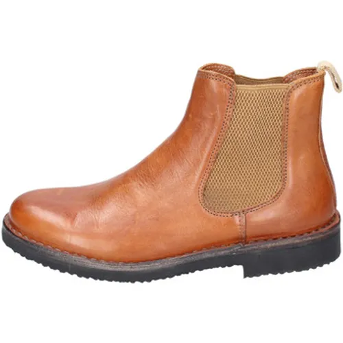 Astorflex  EY763  women's Low Ankle Boots in Brown