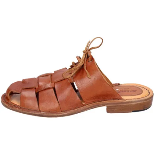 Astorflex  EY831  women's Sandals in Brown