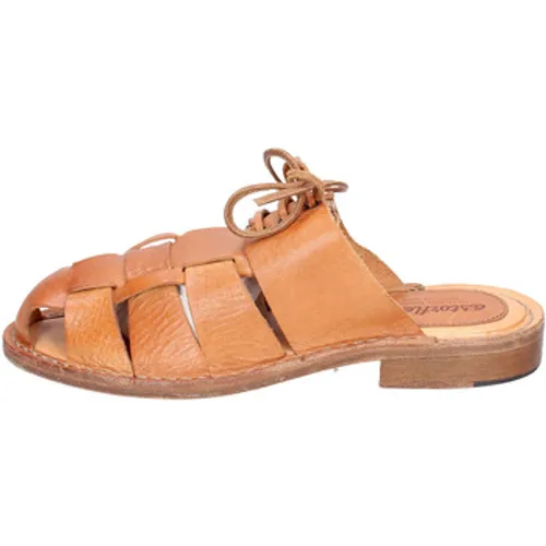 Astorflex  EY837  women's Sandals in Brown