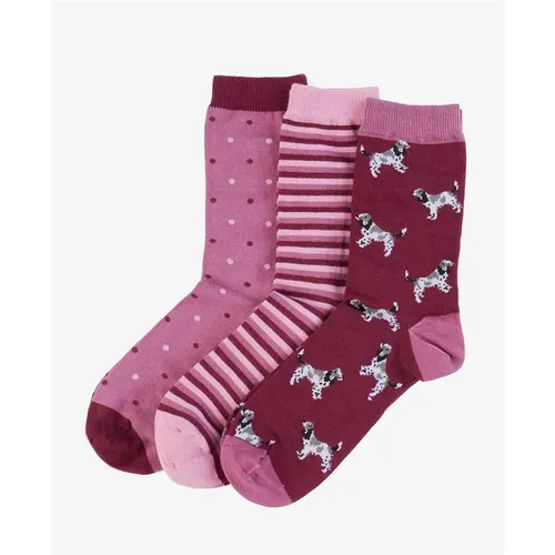 Barbour Dog Stripe Sock Gift Set - Multi