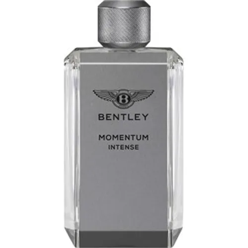 Bentley Eau de Parfum Spray Male 100 ml