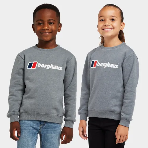 Berghaus Kids' Logo Jumper - Grey, GREY