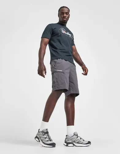 Berghaus Theran Cargo Shorts - Grey - Mens