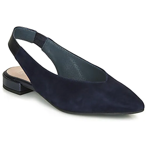 Betty London  MITONI  women's Sandals in Blue