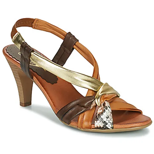 Betty London  NAIA  women's Sandals in Brown