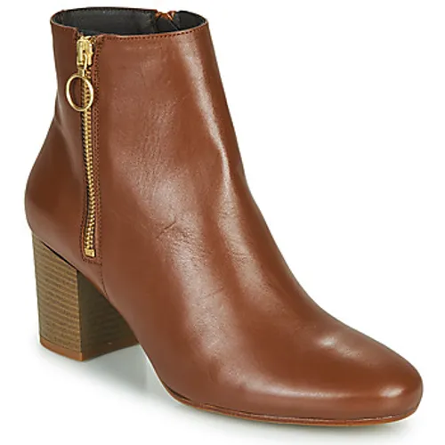 Betty London  NILIVE  women's Low Ankle Boots in Brown