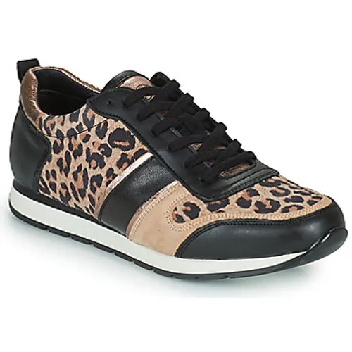 Betty London  PARMINE  women's Shoes (Trainers) in Black
