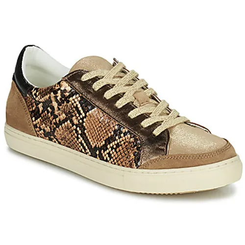 Betty London  PERMINA  women's Shoes (Trainers) in Brown