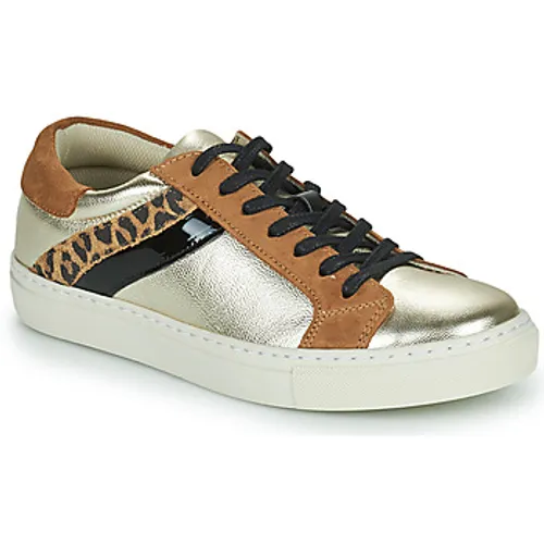Betty London  PITINETTE  women's Shoes (Trainers) in Gold